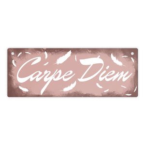 Carpe Diem Nutze den Tag Metallschild in braun