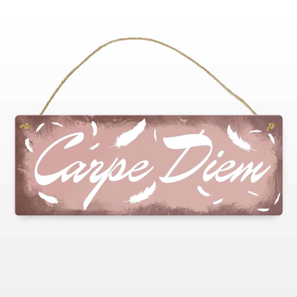 Carpe Diem Nutze den Tag Metallschild in braun