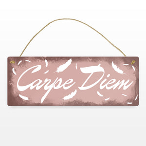 Carpe Diem Nutze den Tag Metallschild in braun