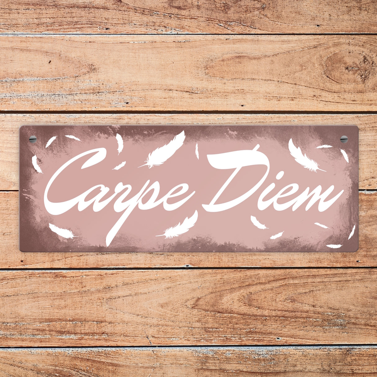 Carpe Diem Nutze den Tag Metallschild in braun