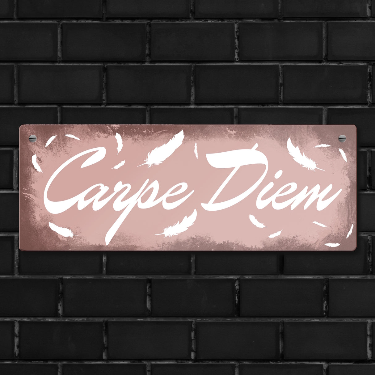 Carpe Diem Nutze den Tag Metallschild in braun