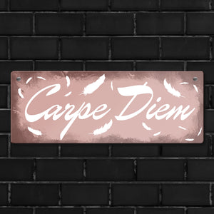 Carpe Diem Nutze den Tag Metallschild in braun