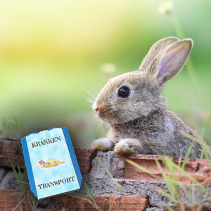 Kranken Transport Parkscheibe mit Hase