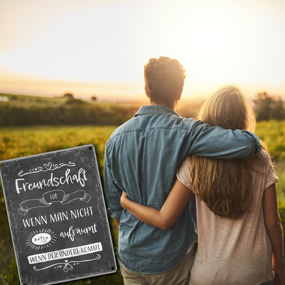 Metallschild mit lustigem Spruch zu Freundschaft und Aufräumen