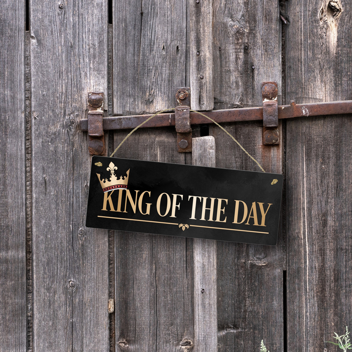 King of the day Metallschild in edlem gold und schwarz