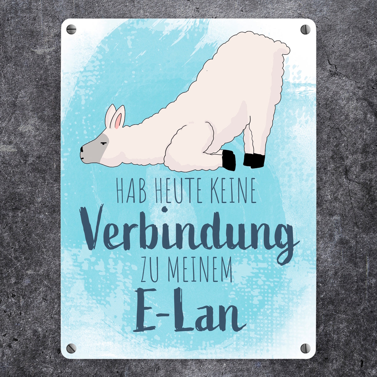 Hab heute keine Verbindung zu meinem E-Lan Alpaka Metallschild