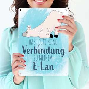 Hab heute keine Verbindung zu meinem E-Lan Alpaka Metallschild