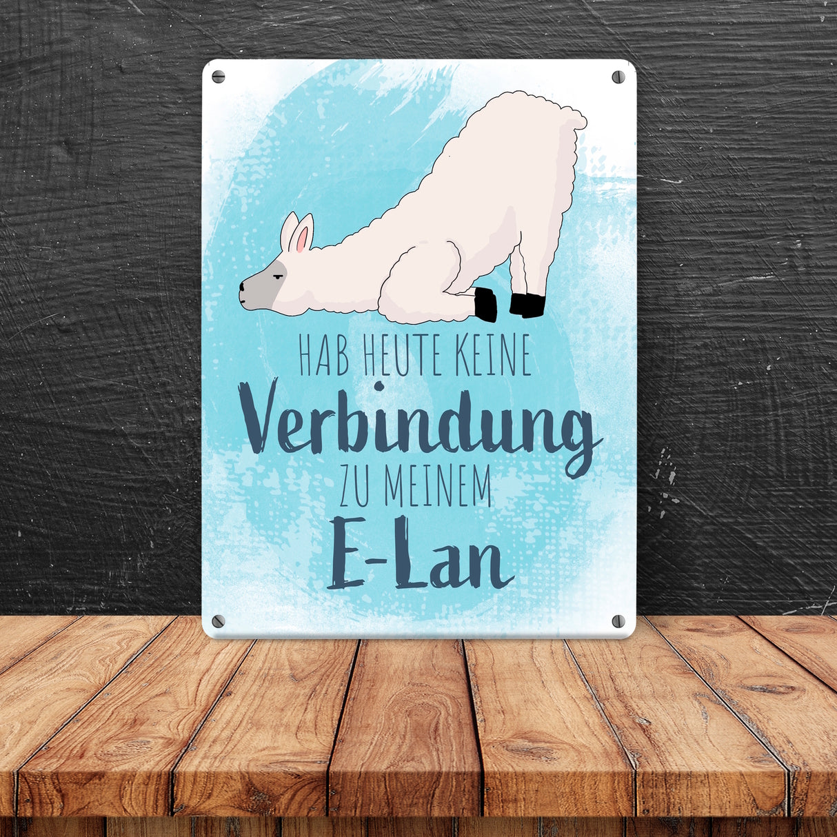Hab heute keine Verbindung zu meinem E-Lan Alpaka Metallschild