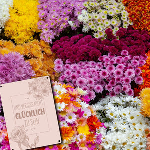 Und vergiss nicht glücklich zu sein Metallschild mit Blumen