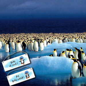 Pst Baby schläft Wendeschild mit Pinguin in blau