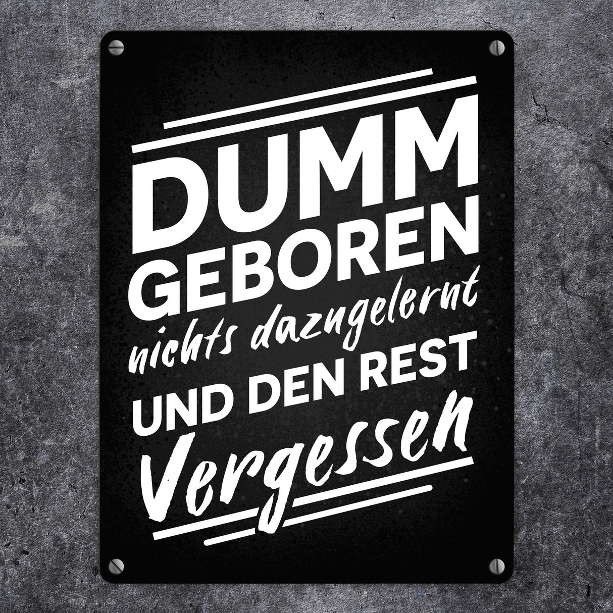 Dumm geboren nichts dazugelernt und den Rest vergessen Metallschild