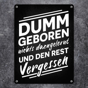 Dumm geboren nichts dazugelernt und den Rest vergessen Metallschild