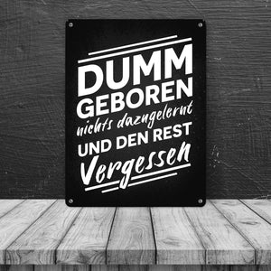 Dumm geboren nichts dazugelernt und den Rest vergessen Metallschild