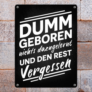 Dumm geboren nichts dazugelernt und den Rest vergessen Metallschild