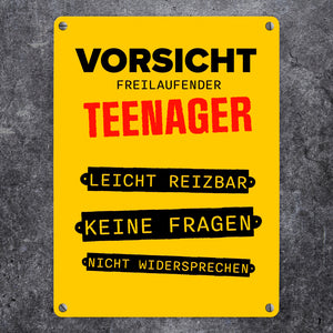 Vorsicht freilaufender Teenager Metallschild