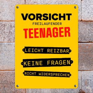 Vorsicht freilaufender Teenager Metallschild