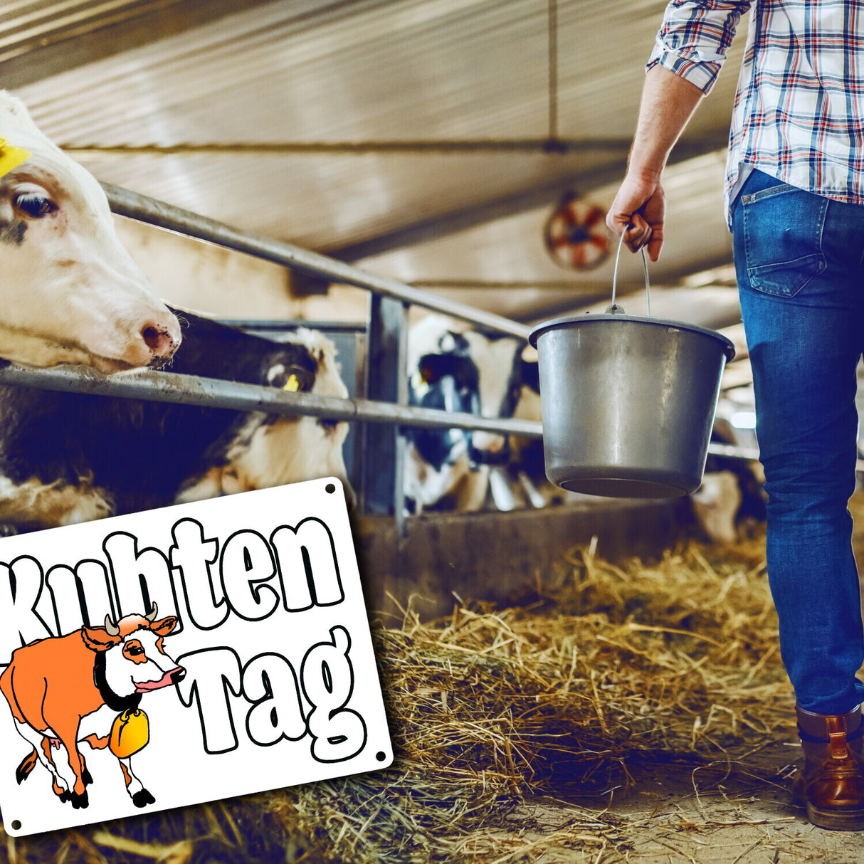 Kuhten Tag Metallschild mit Kuh zum Thema Bauernhof