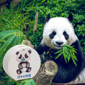 It's a boy Baby Panda Spardose
