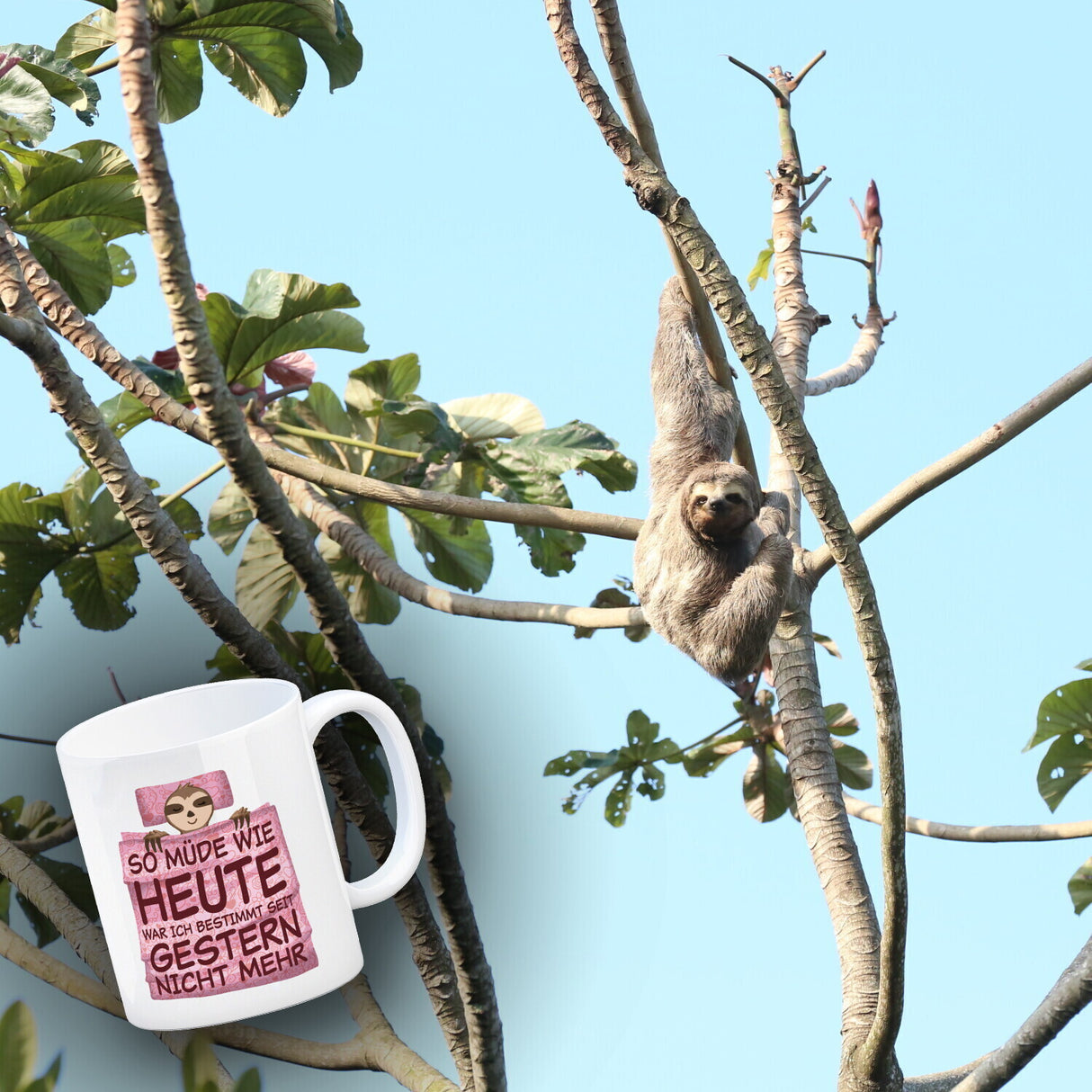 So müde wie heute war ich seit gestern nicht mehr Faultier Kaffeebecher