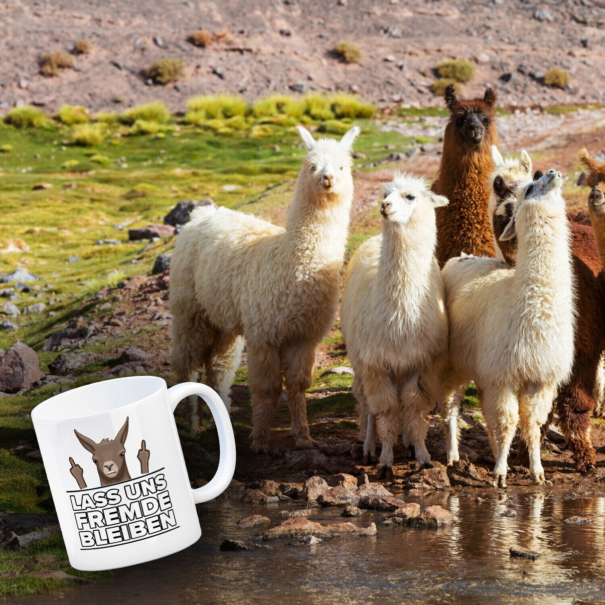 Lass uns Fremde bleiben mit Lama Kaffeebecher