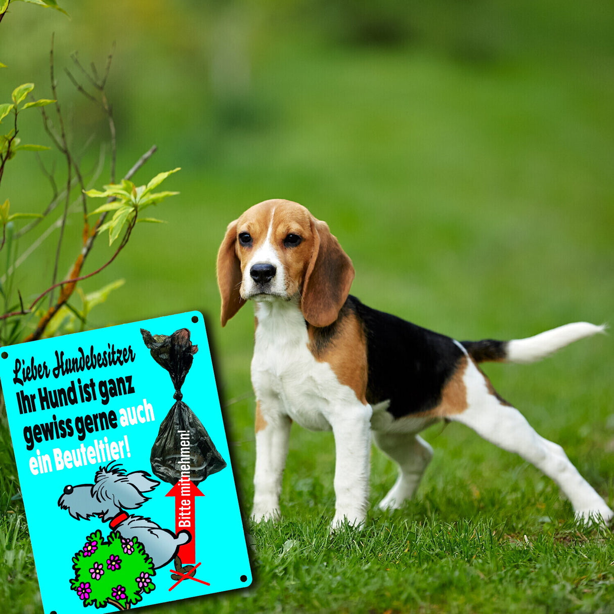 Kein Hundeklo Metallschild mit lustiger Illustration und Spruch