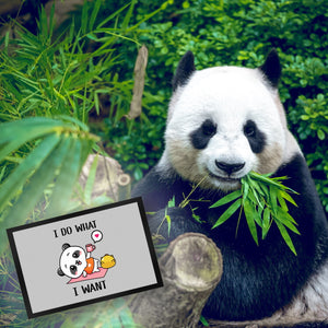 I do what I want Panda Fußmatte in 35x50 cm