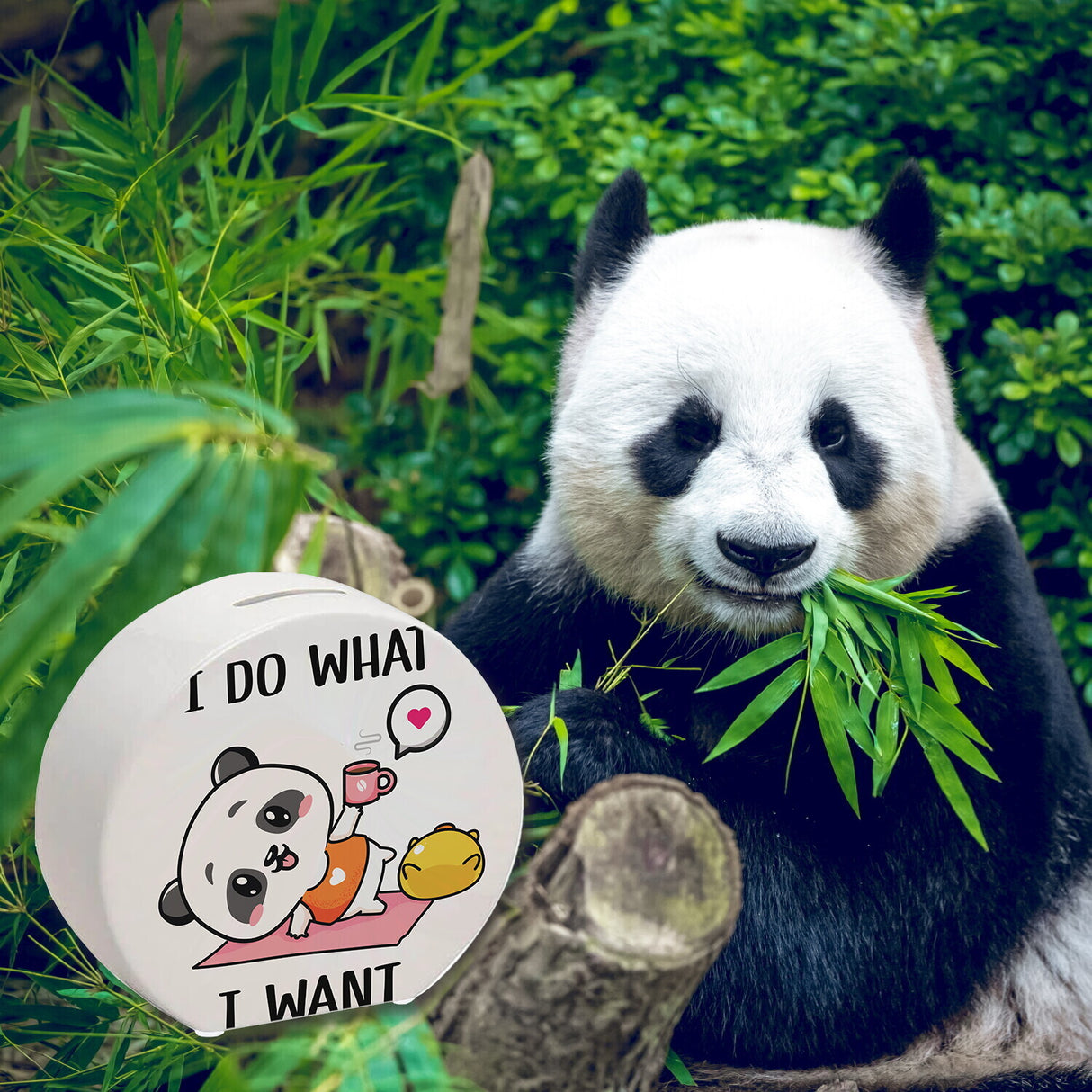 I Do What I Want Panda Spardose