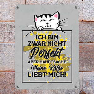 Meine Katze liebt mich Katzen Spruch Metallschild in 15x20 cm für Katzenliebhaber
