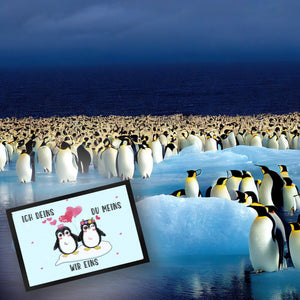 Pinguin Pärchen Fußmatte in 35x50 cm mit Spruch