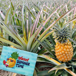 Sweet summertime Souvenir Souvenir Magnet mit süßer Ananas