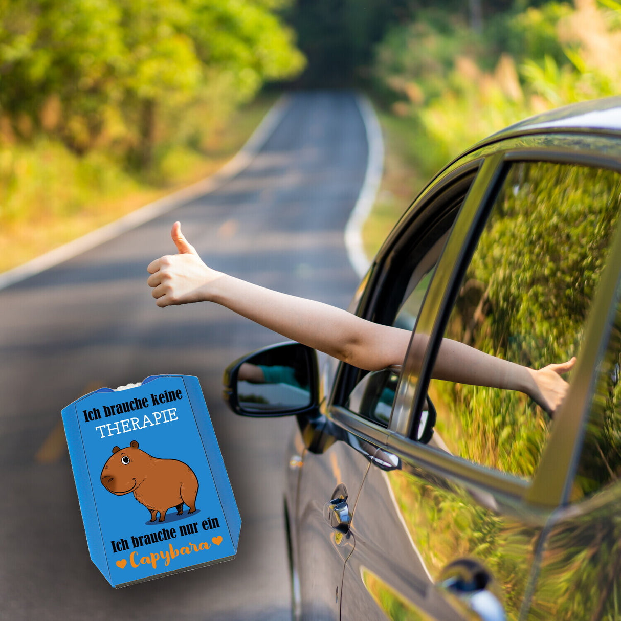 Keine Therapie – ich brauche nur ein Capybara Parkscheibe