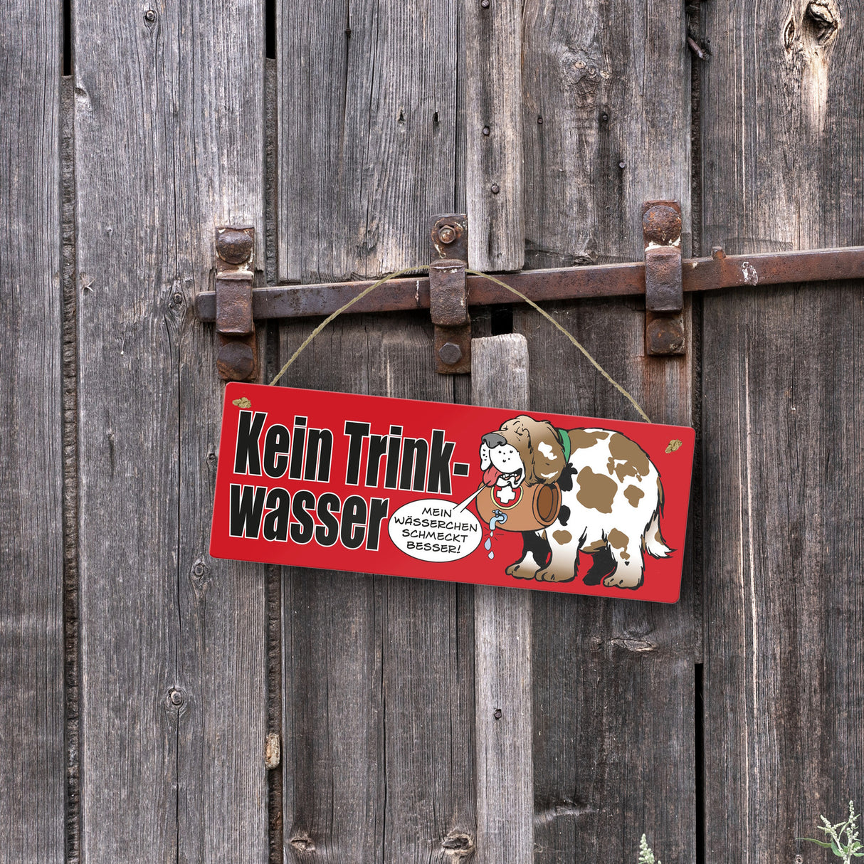 Kein Trinkwasser Metallschild mit Schweizer Alpenhund