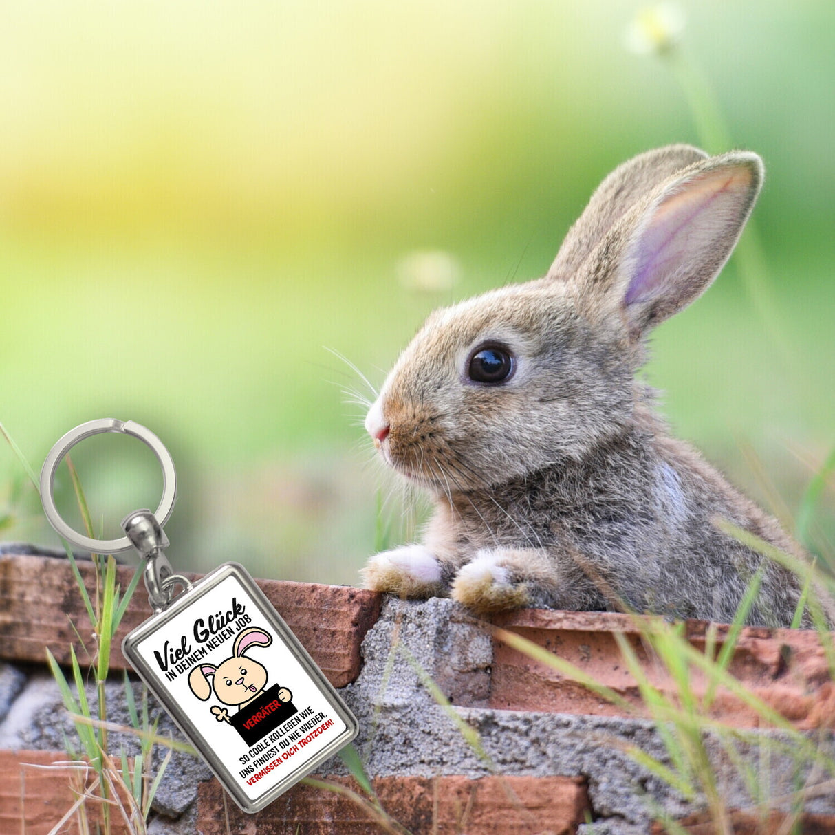 Glückwunsch zur Flucht, Verräter Mittelfinger Schlüsselanhänger mit Hase