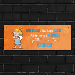 Engel Metallschild mit Spruch - Du hast Recht aber meine Meinung ist besser