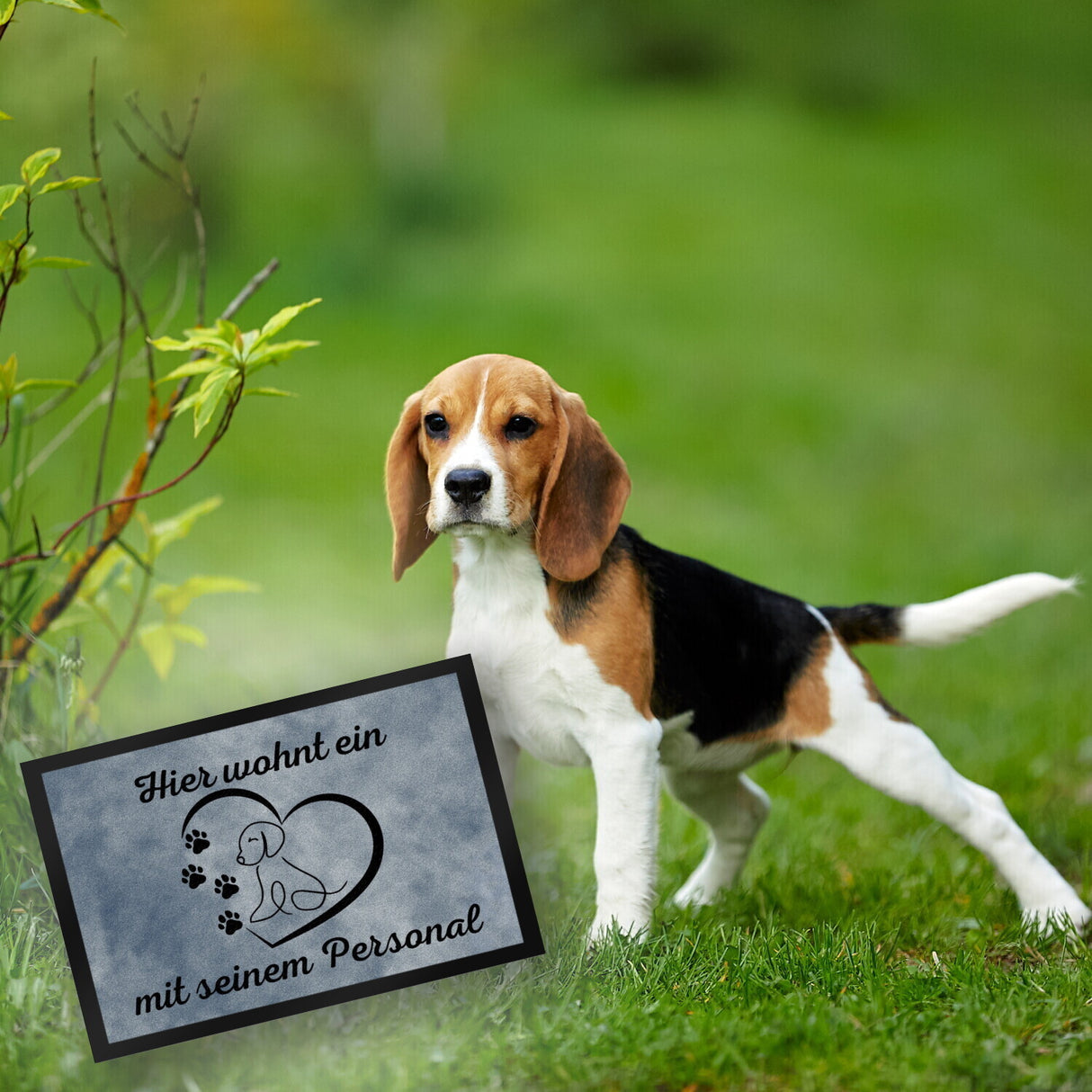 Fußmatte in 35x50 cm - Hier wohnt ein Hund mit seinem Personal