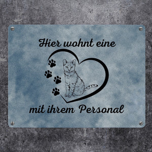 Hier wohnt eine Katze mit ihrem Personal Metallschild in 15x20 cm