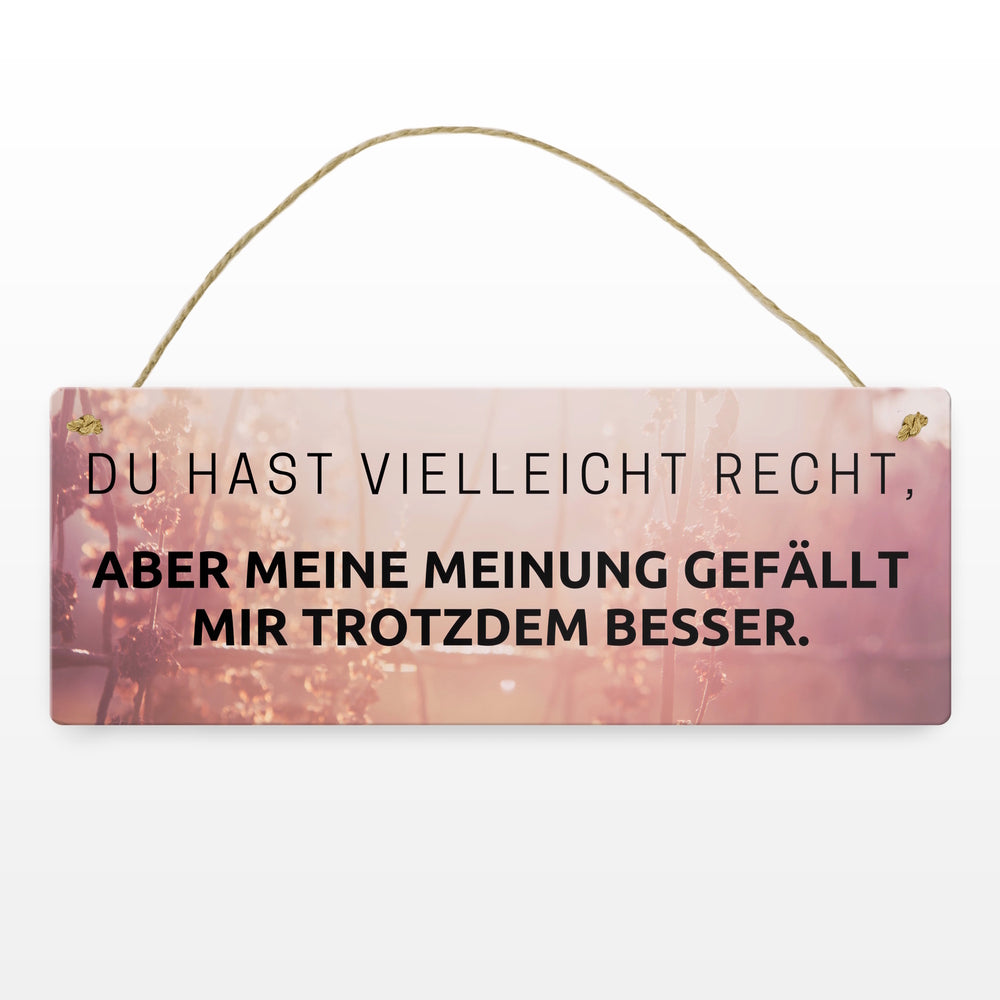 Du hast vielleicht Recht Metallschild Aber meine Meinung gefällt mir besser