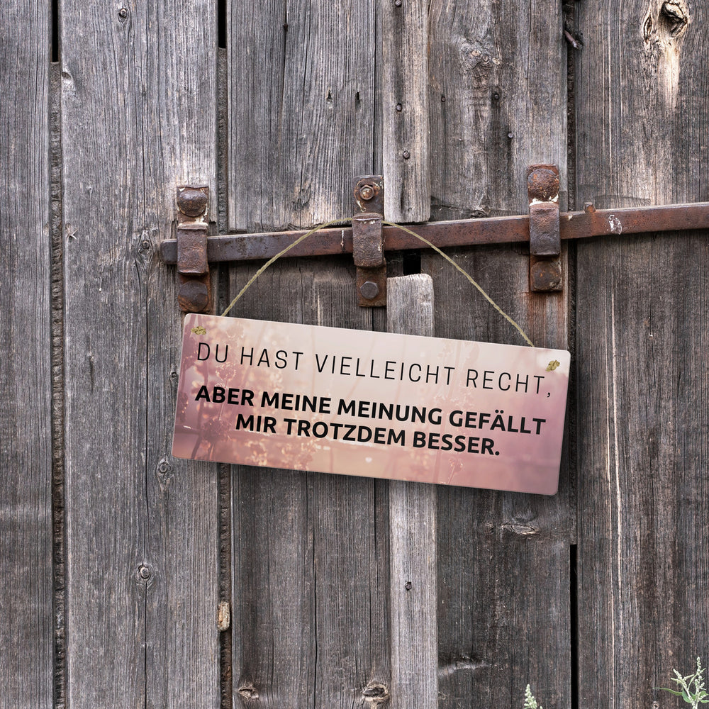Du hast vielleicht Recht Metallschild Aber meine Meinung gefällt mir besser