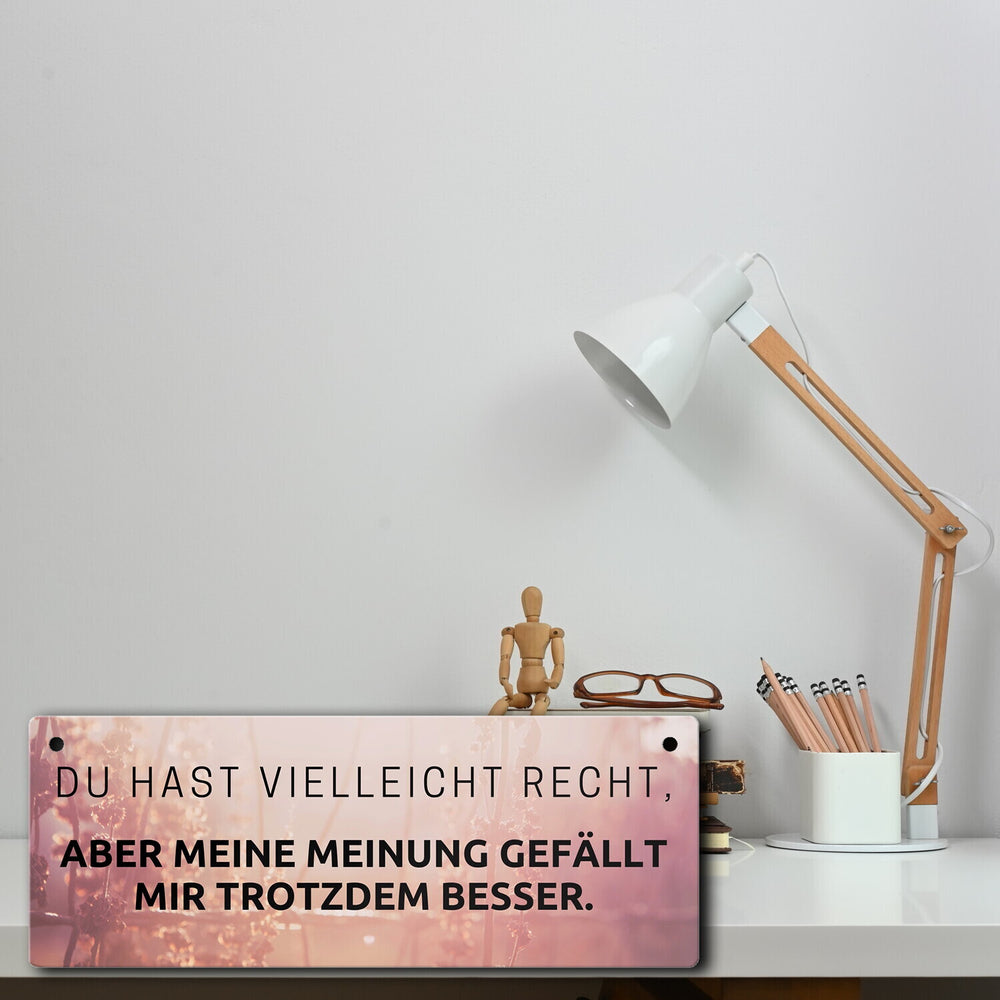 Du hast vielleicht Recht Metallschild Aber meine Meinung gefällt mir besser