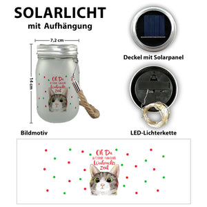 Oh Du glitzernd funkelnde Weihnachtszeit Katze Solarlicht