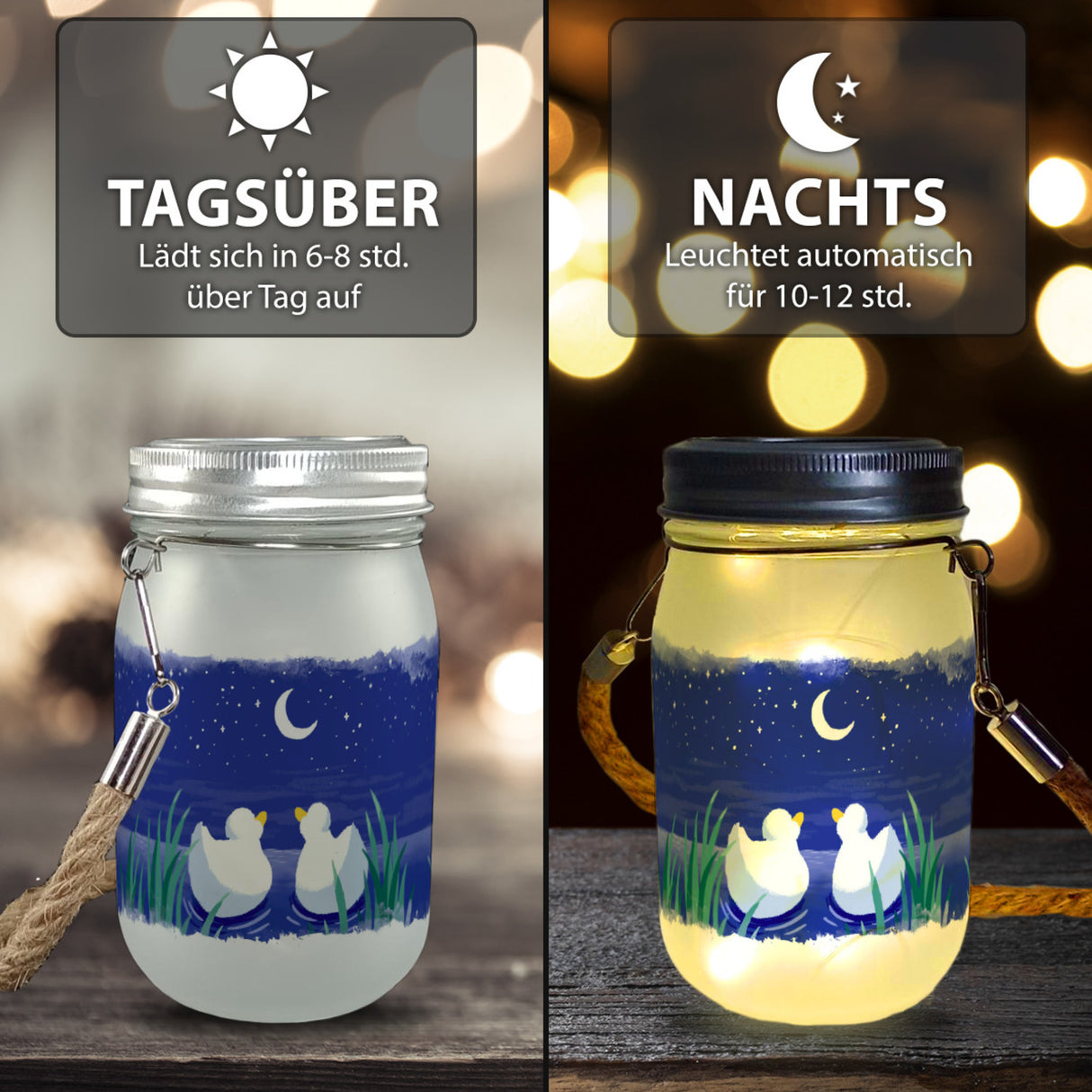 Enten Pärchen im Mondschein bei Nacht Solarlicht