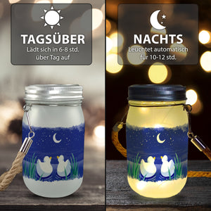 Enten Pärchen im Mondschein bei Nacht Solarlicht