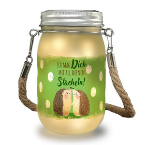 Igel Pärchen Solarlicht mit Spruch Ich mag dich mit all deinen Stacheln