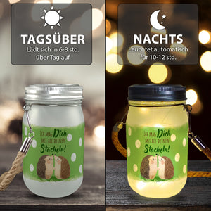Igel Pärchen Solarlicht mit Spruch Ich mag dich mit all deinen Stacheln