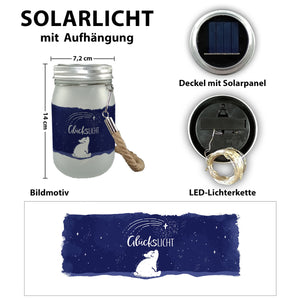 Eisbär Solarlicht mit Spruch Glückslicht