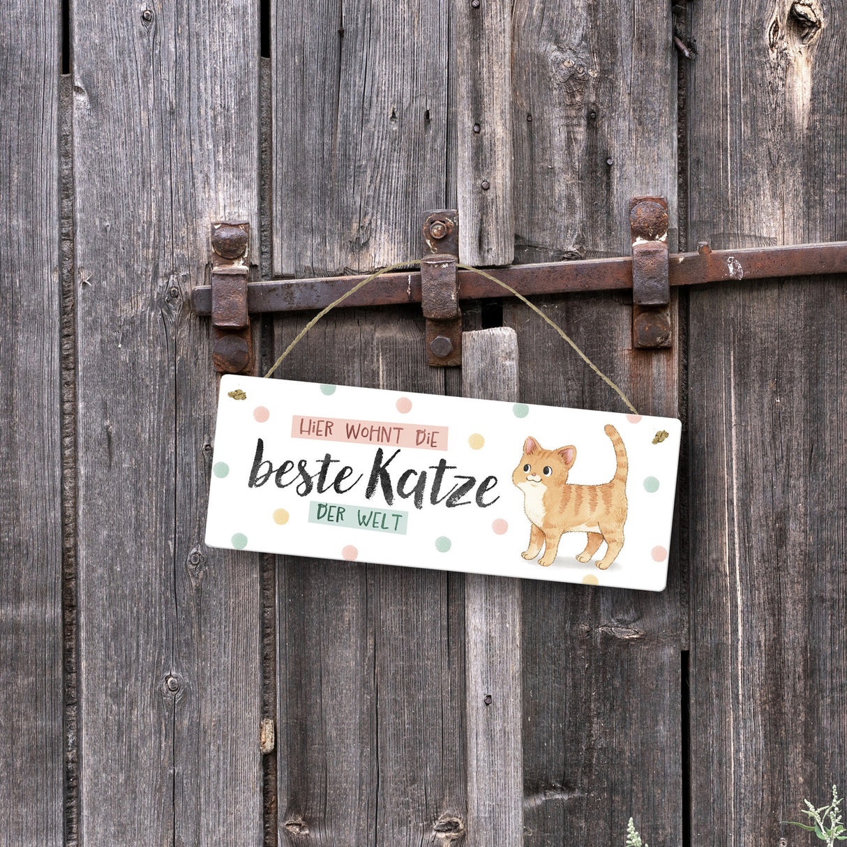 Beste Katze der Welt Metallschild mit oranger Katze und Spruch