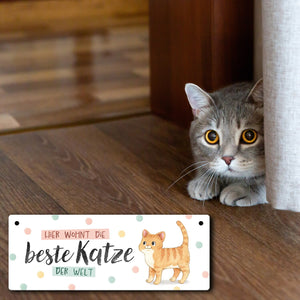 Beste Katze der Welt Metallschild mit oranger Katze und Spruch