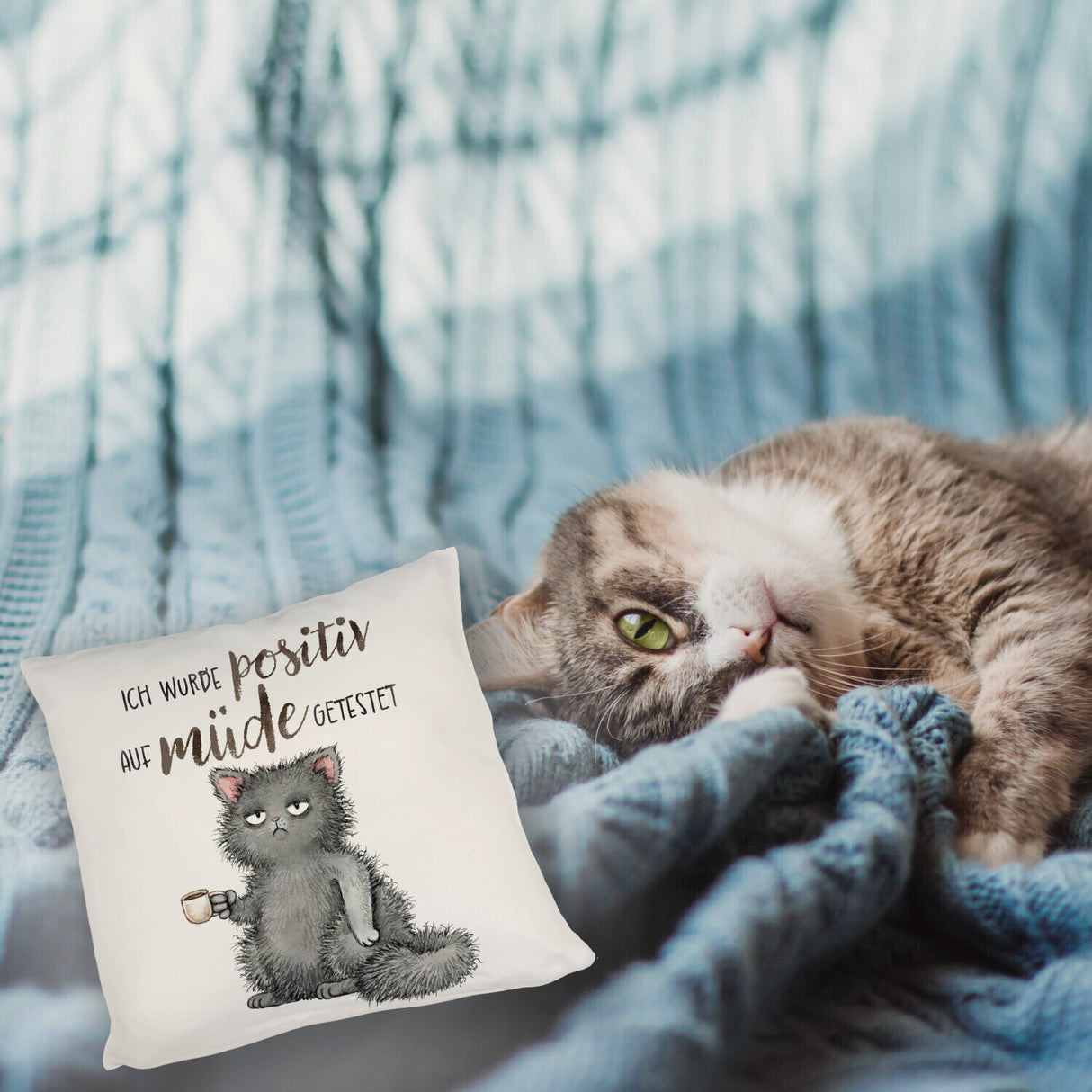 Genervte Katze Kissen mit Spruch positiv auf müde getestet