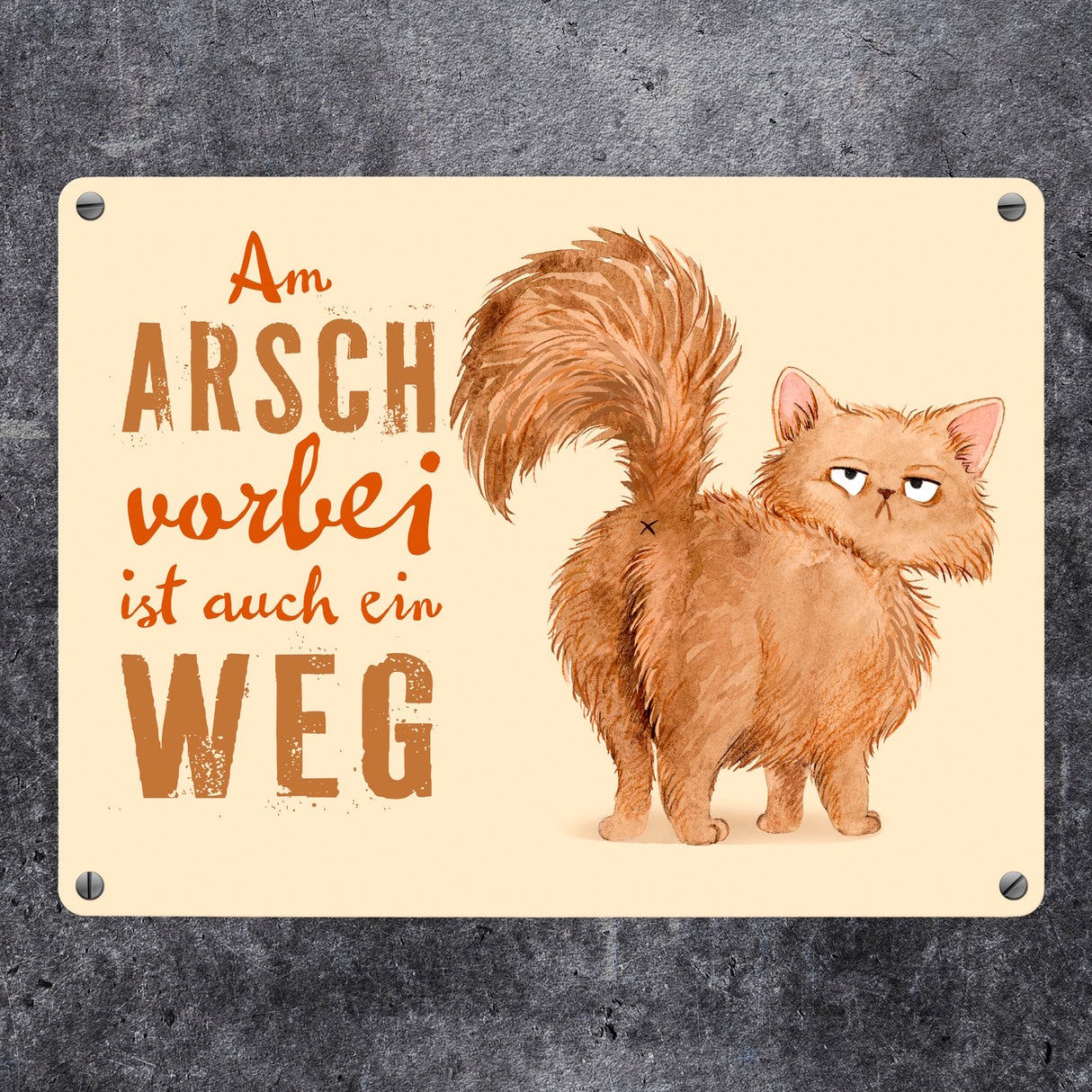 Katze Metallschild in 15x20 cm mit Spruch Am Arsch vorbei ist auch ein Weg