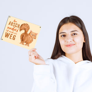 Katze Metallschild in 15x20 cm mit Spruch Am Arsch vorbei ist auch ein Weg